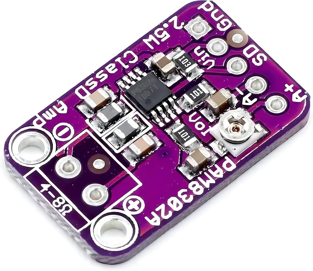 PAM8302 2.5W AMPLİFİER BOARD